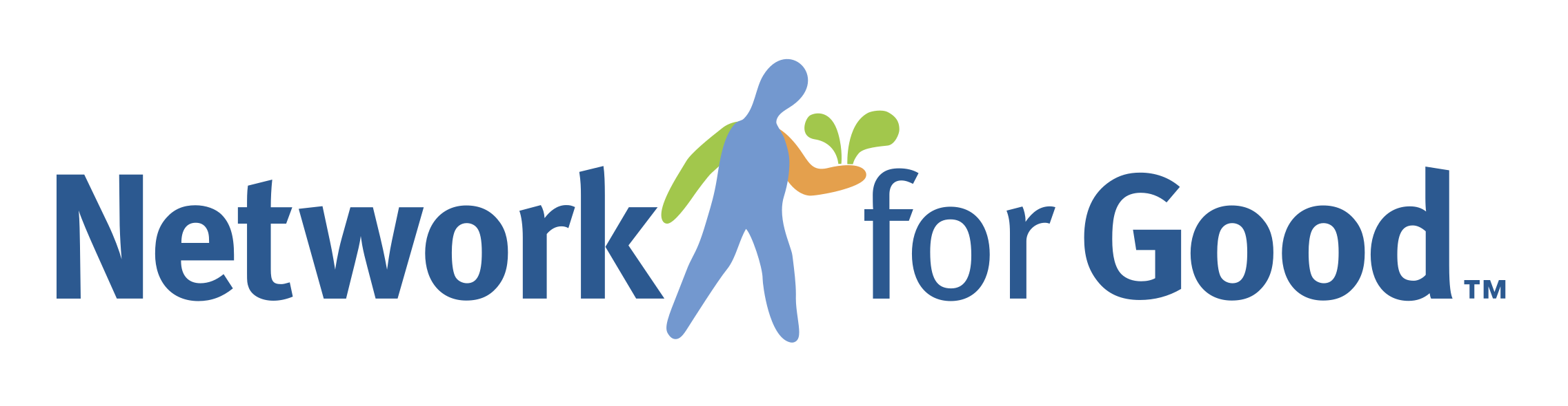 Network for Good Logo